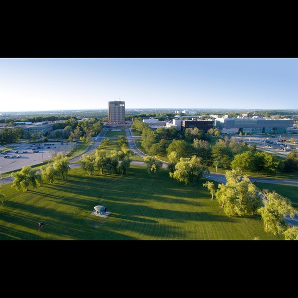 Meet your Posher, Riley - Picture 1 of 1